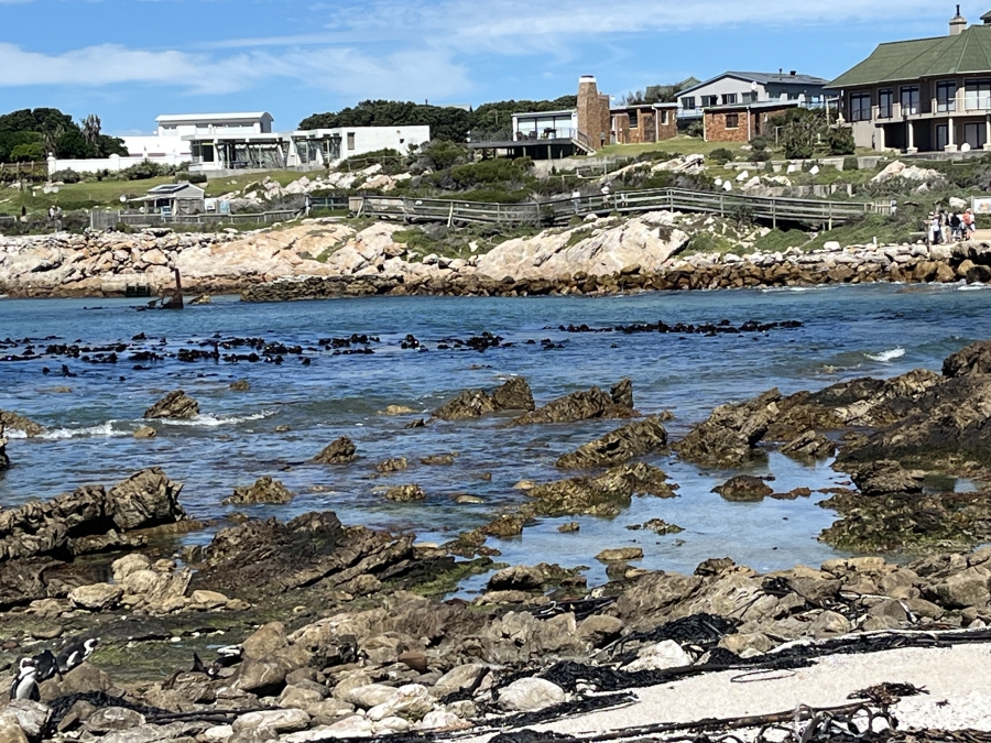 To Let 2 Bedroom Property for Rent in Bettys Bay Western Cape